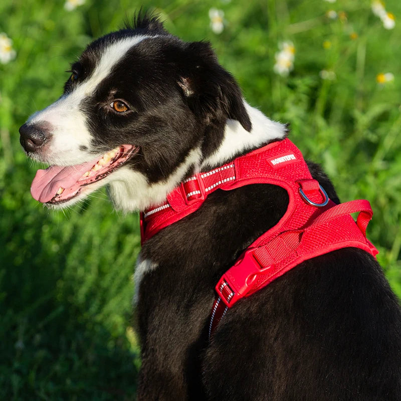 Pet Dog Mesh,Vest Adjustable Harness For Medium Large Dogs