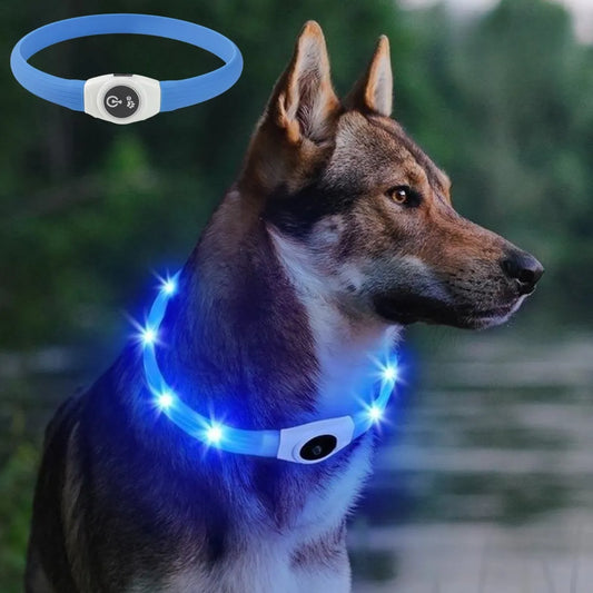 New Led Luminous Dog Collar PVC Waterproof , For Large Medium Small Dogs Collar Usb Light Night Safety Pet Glowing Accessories